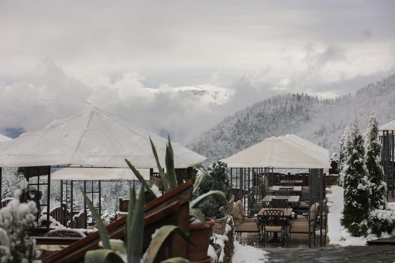 Alpine Castle Hotel Дилиян Екстериор снимка